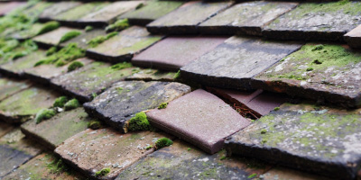 Southend roof repair costs